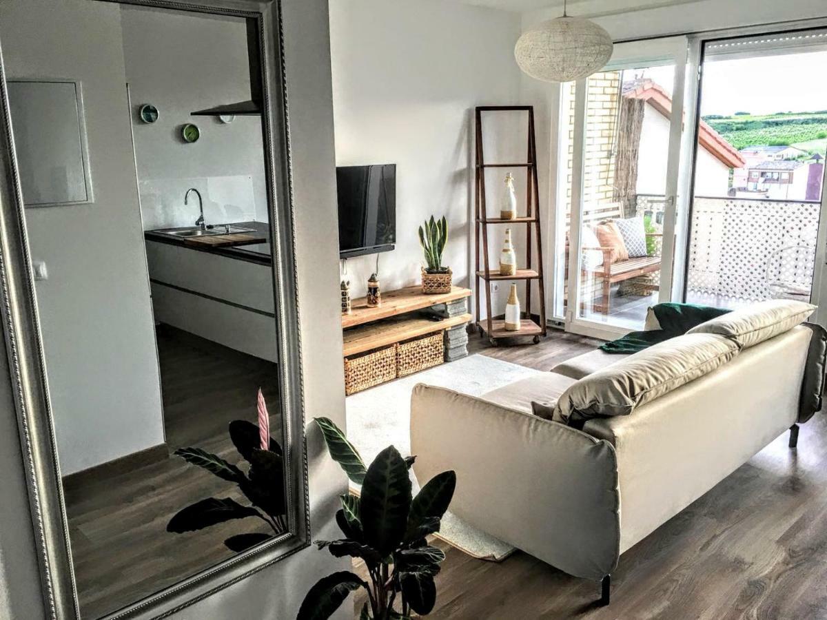 Apartamento Gaztainondoak Lanciego Екстериор снимка